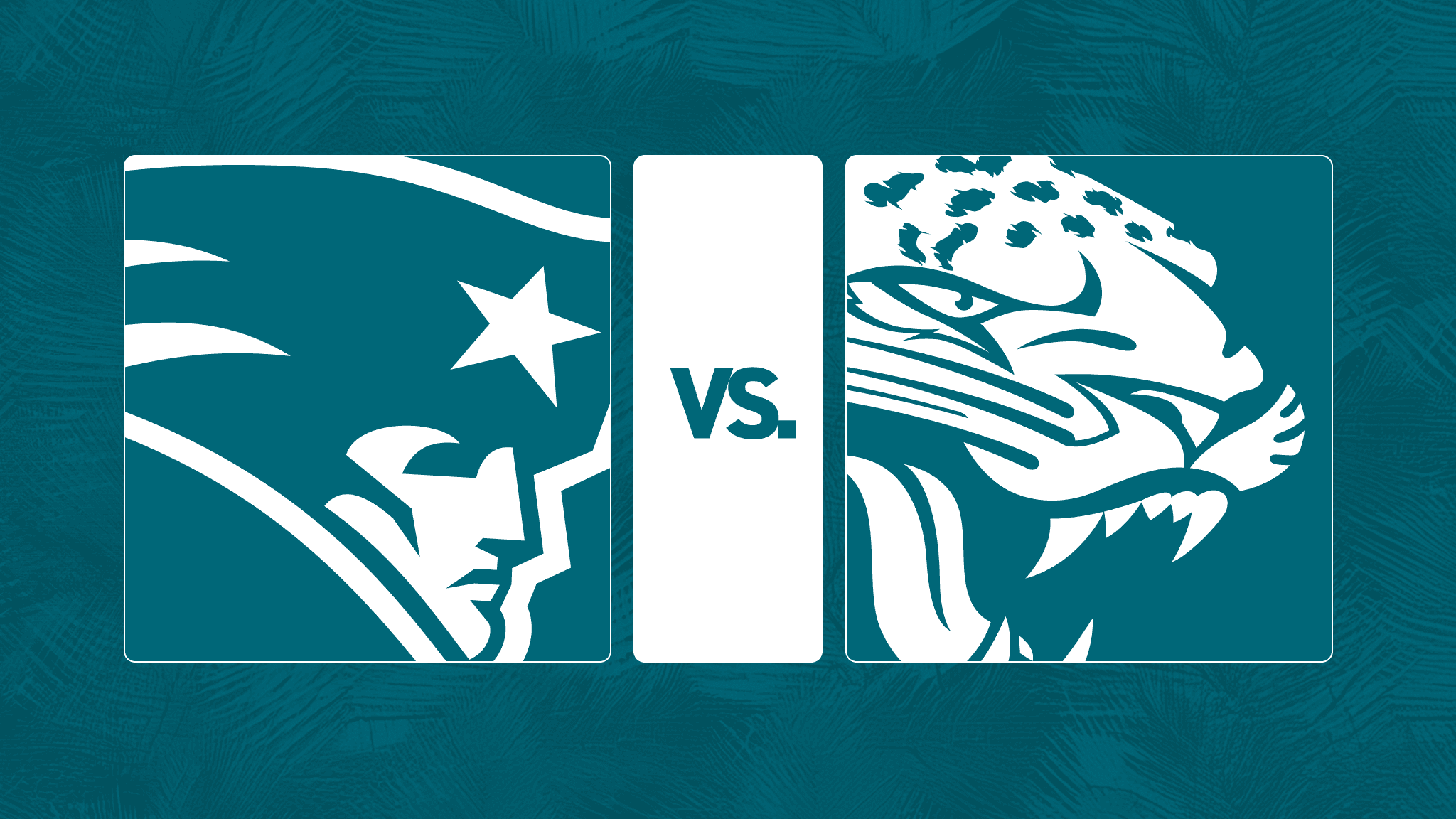vs. New England Patriots